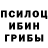 Галлюциногенные грибы Psilocybe BASYKA pro