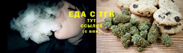 тгк Дмитров