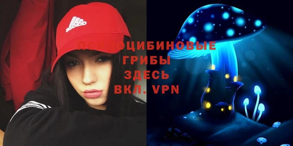 Альфа ПВП Дмитровск