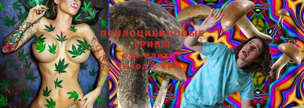 тгк Дмитров