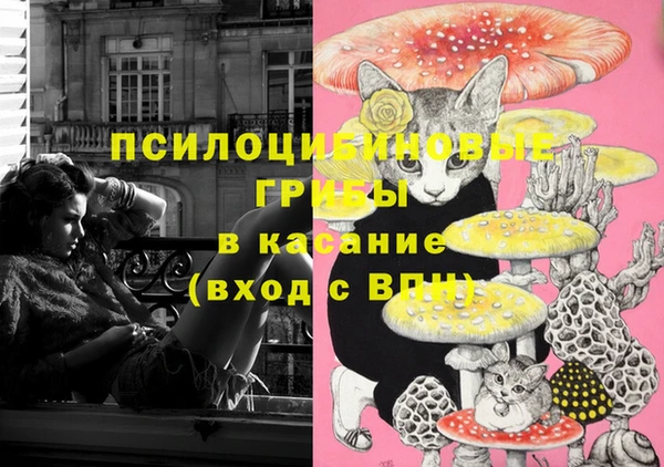 мет Дмитриев