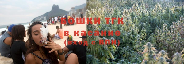 мет Дмитриев