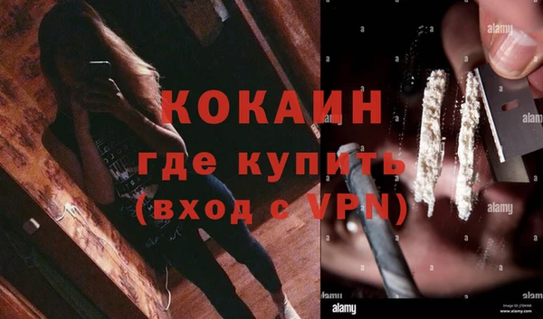 мет Дмитриев