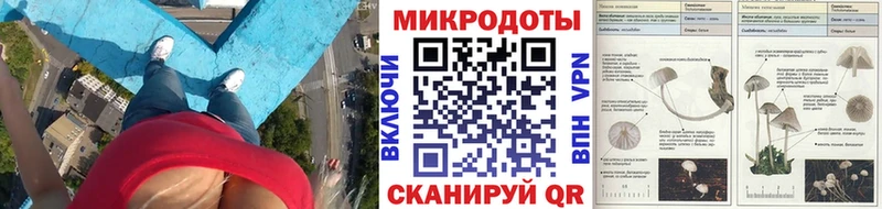 Купить где  Конаково  Псилоцибиновые грибы Psilocybine cubensis 